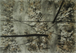 Thumbnail Placeholder